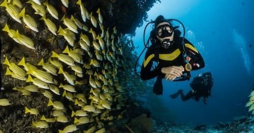 SDI BASIC SCUBA PACKAGE