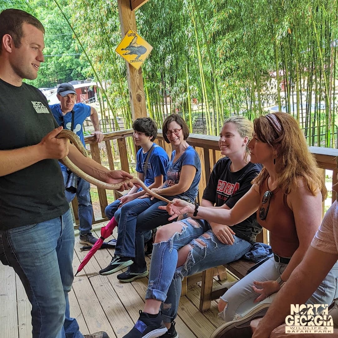 Interactive Behind the Scenes Tour Admission
