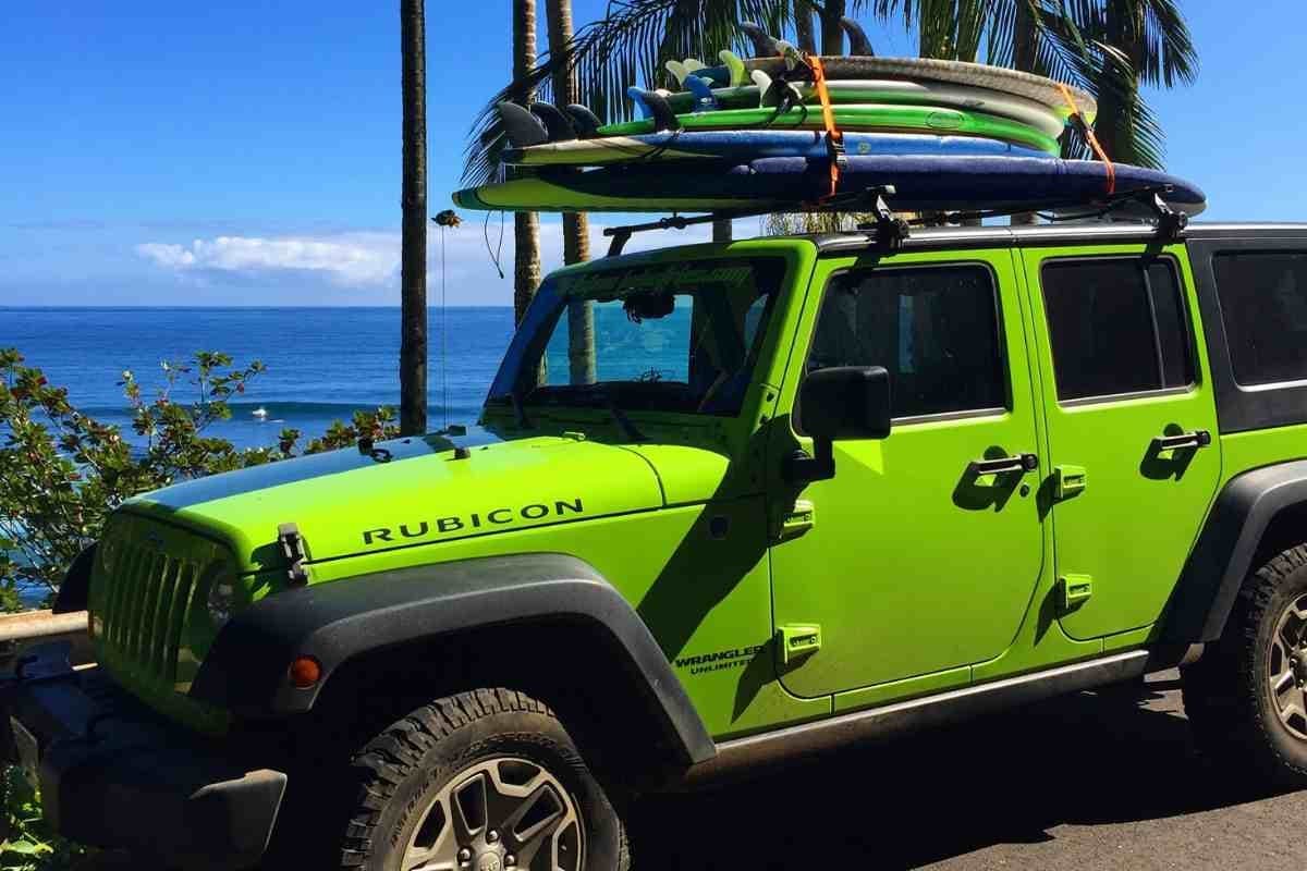 Surf Safari