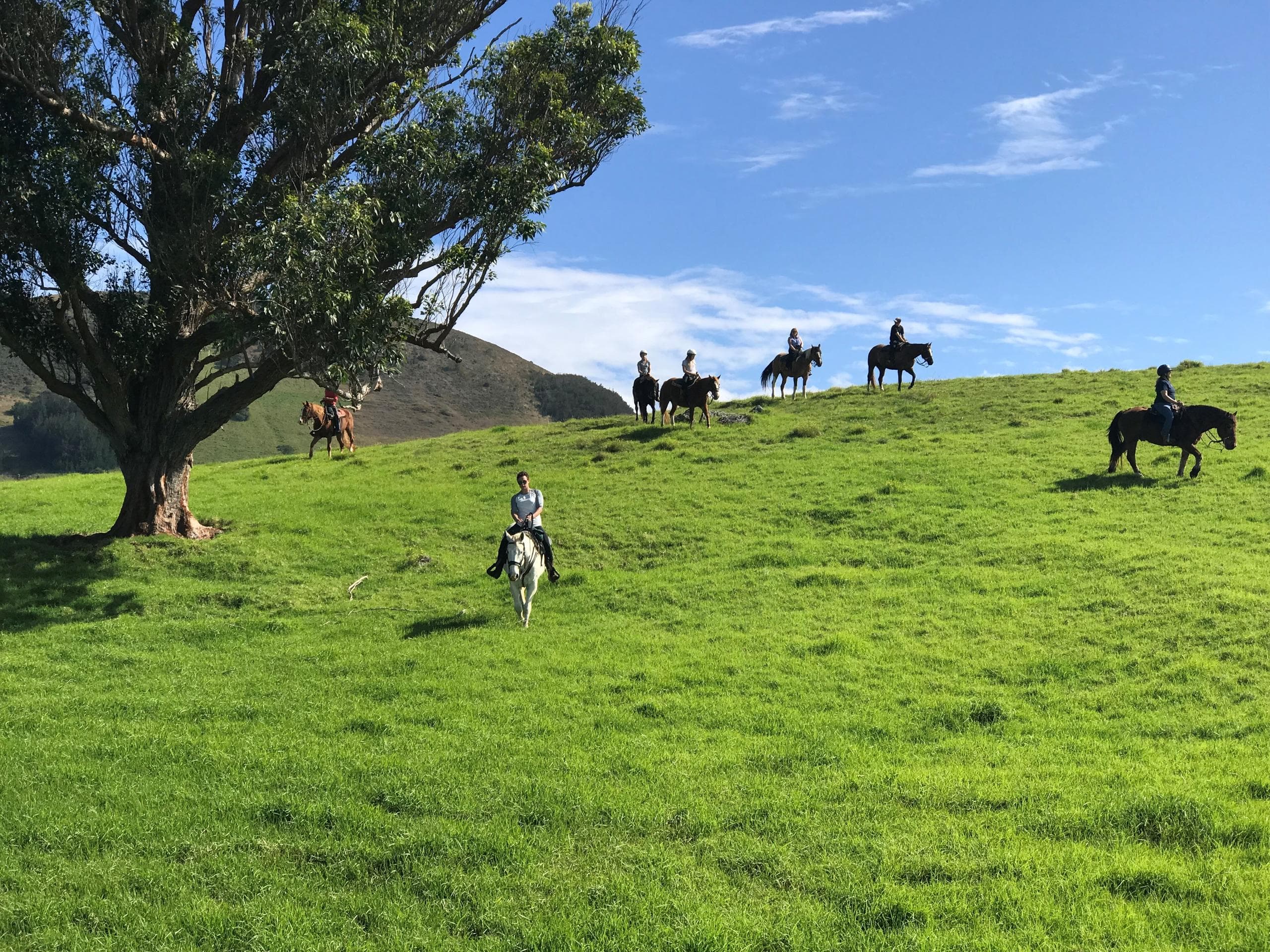 Afternoon Paniolo Ride