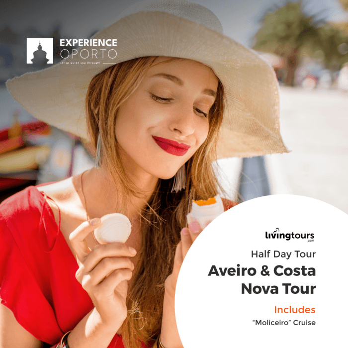 Aveiro & Costa Nova Tour
