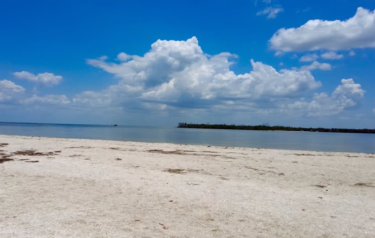 Exclusive Sandbar Boat Tour- Pelican Bay, Cayo Costa