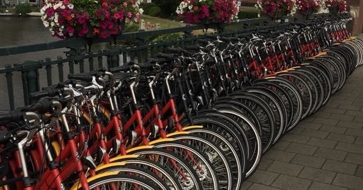 3-Hour Bike Rentals