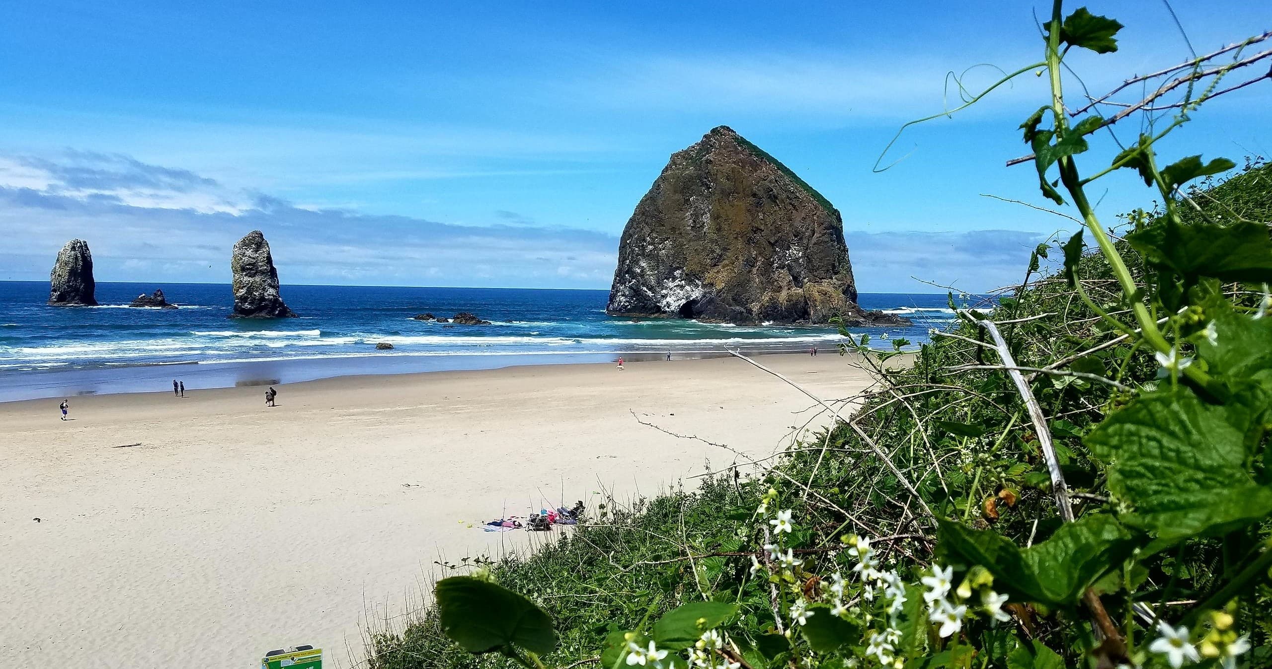 Full Day Oregon Coast Tour