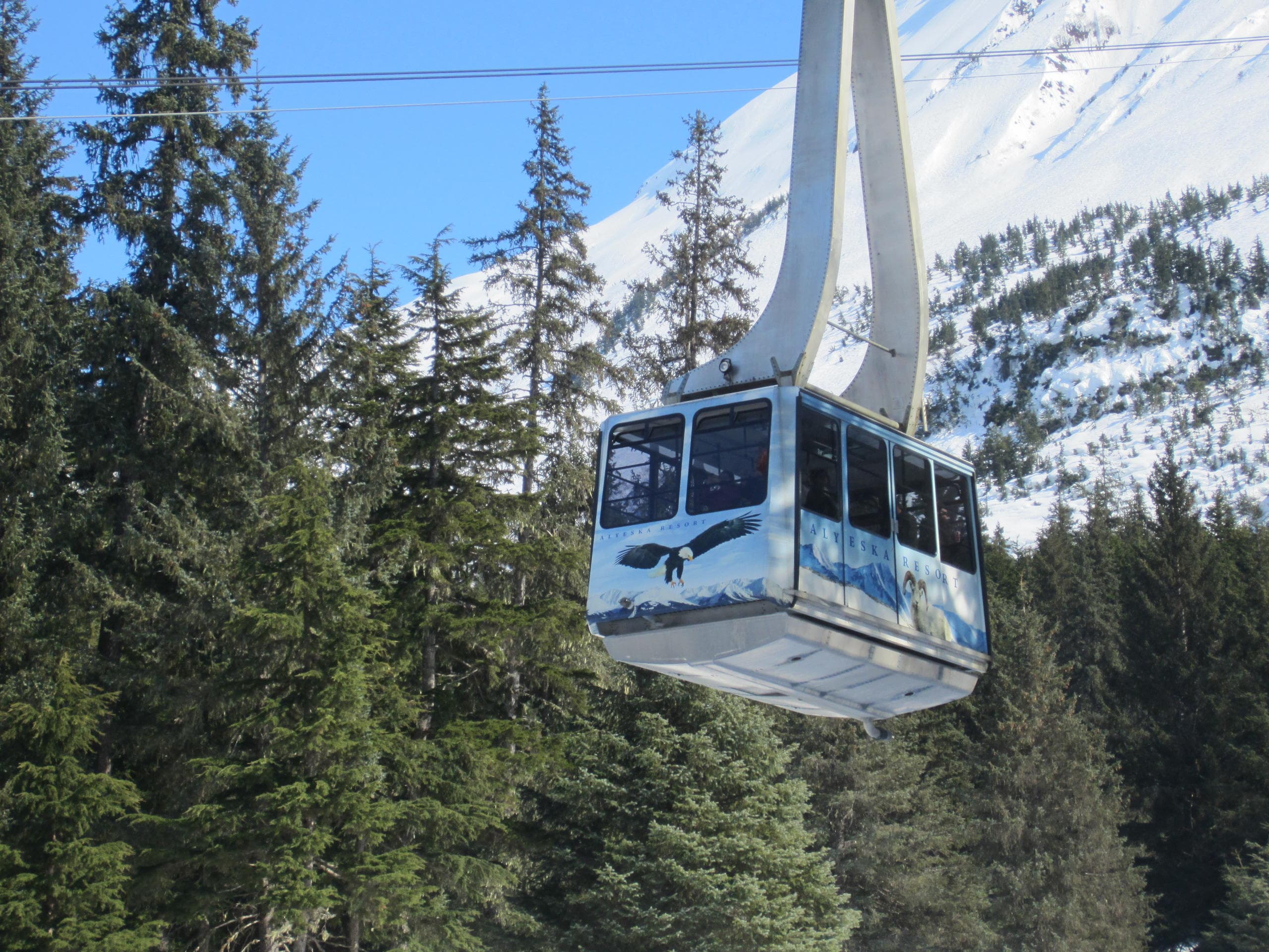 Alyeska Tram a Self-Guided Tour