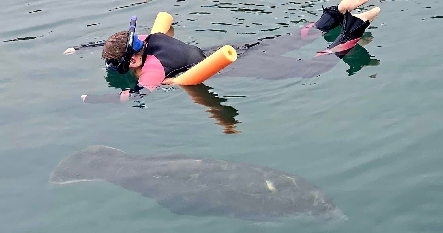 Swim with the Manatee Private Tour