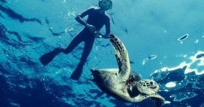 Advanced Snorkeling Tour