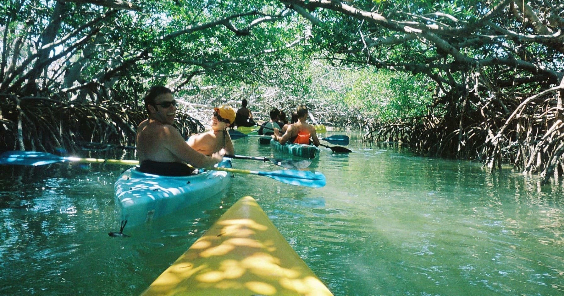 Guided Kayak Tour