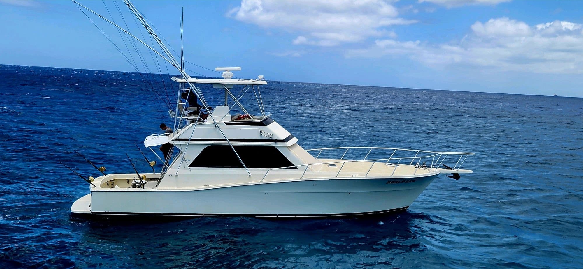 Half Day Private Sport Fishing Adventure