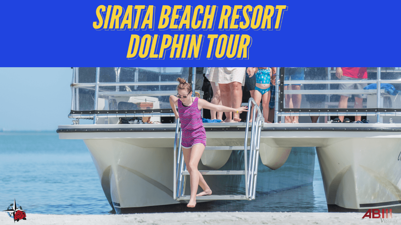 Sirata Famous SDI Dolphin Tour
