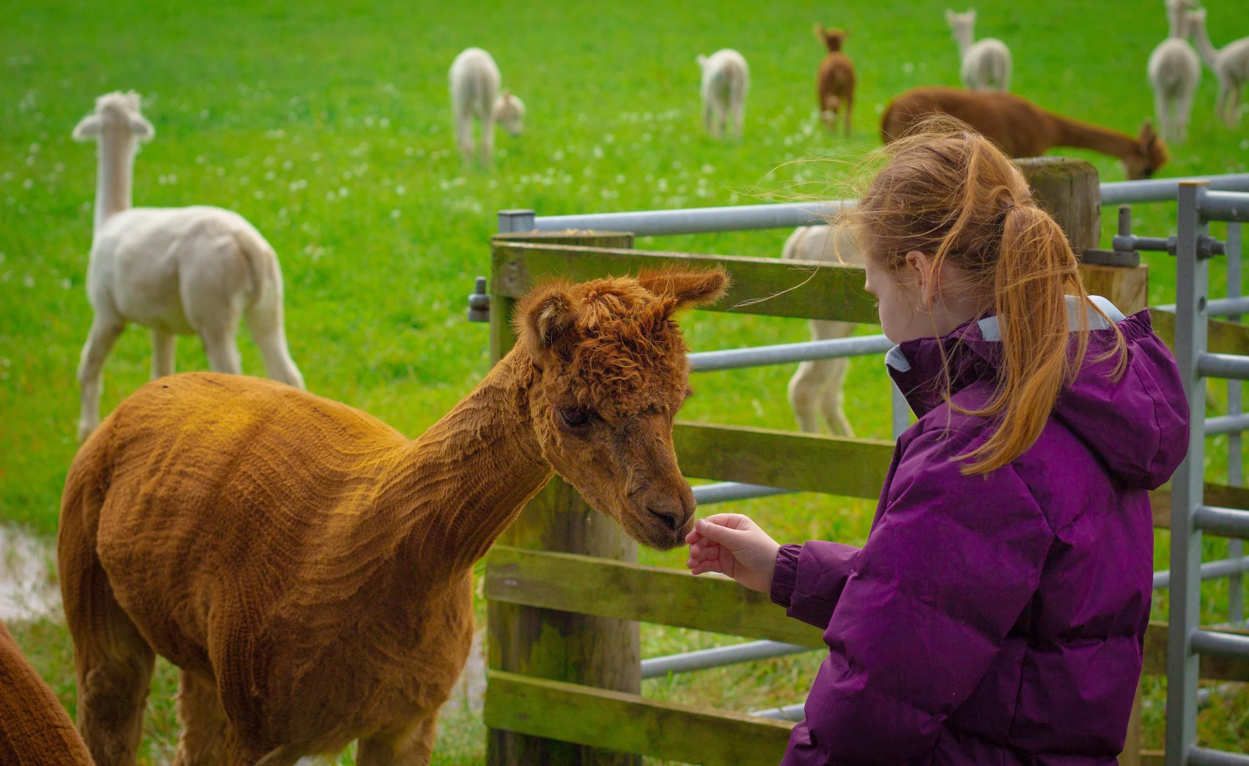 AWARD WINNING FARM TOUR