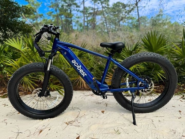 Half Day E-bike Rentals