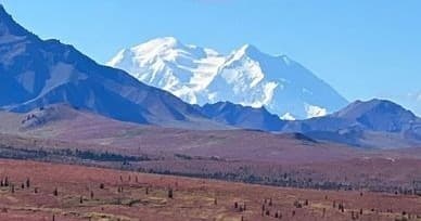 Denali Day Trip