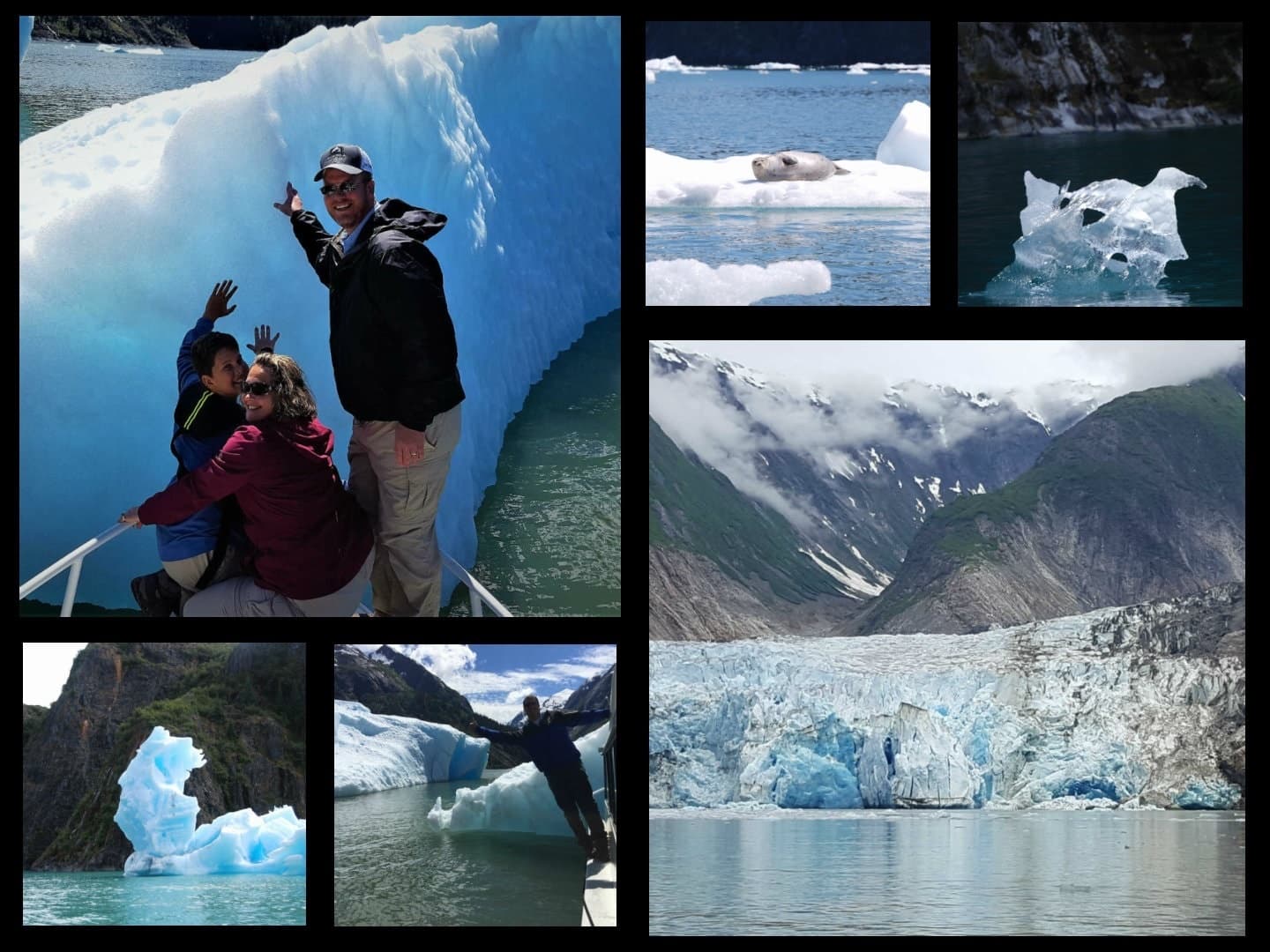 Private Sightseeing Tour - Tracy Arm Fjord