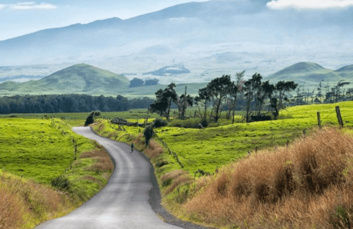 Mana Road Traditional or E-Mountain Bike Tour