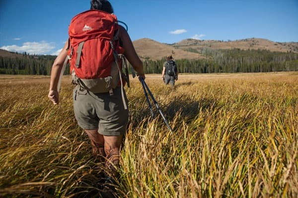 Yellowstone Full Day Private Hike