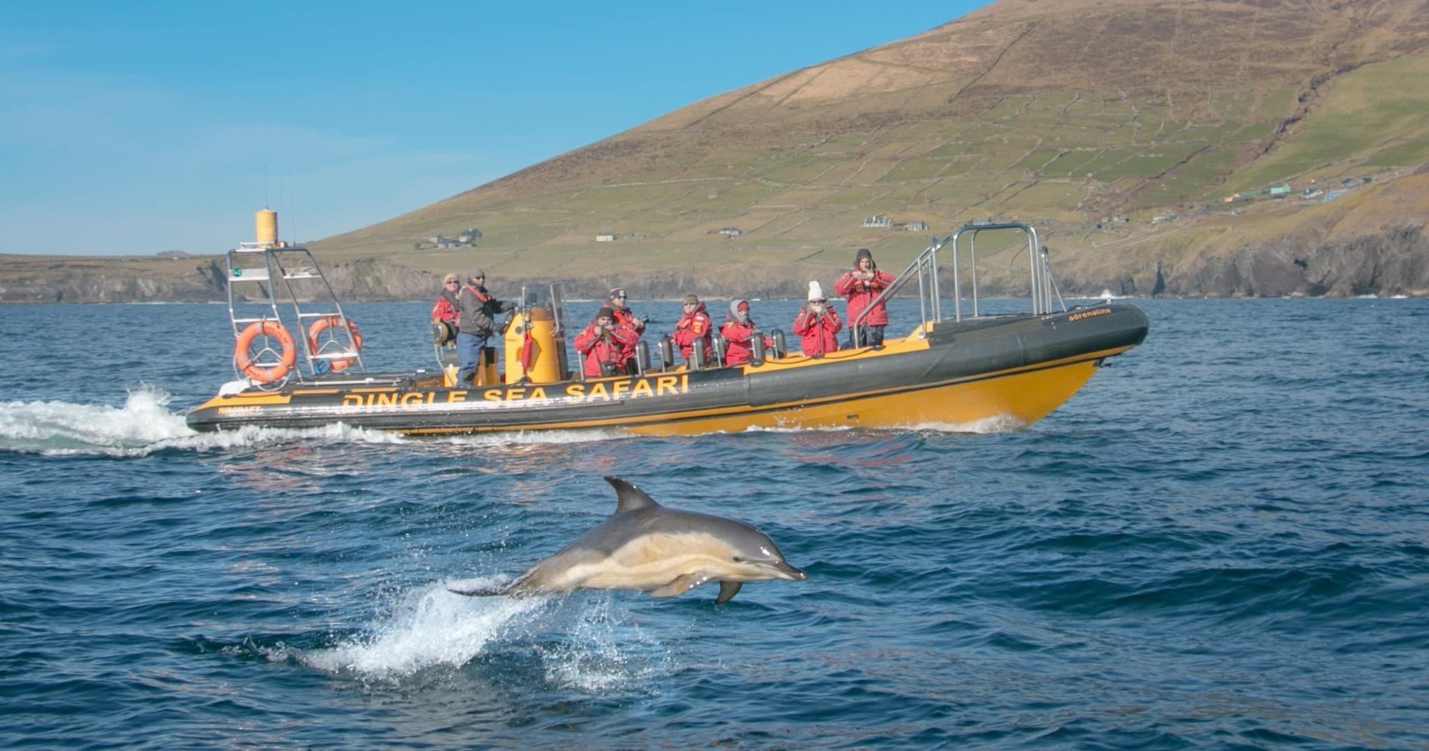 Dingle Sea Safari Rib Ride