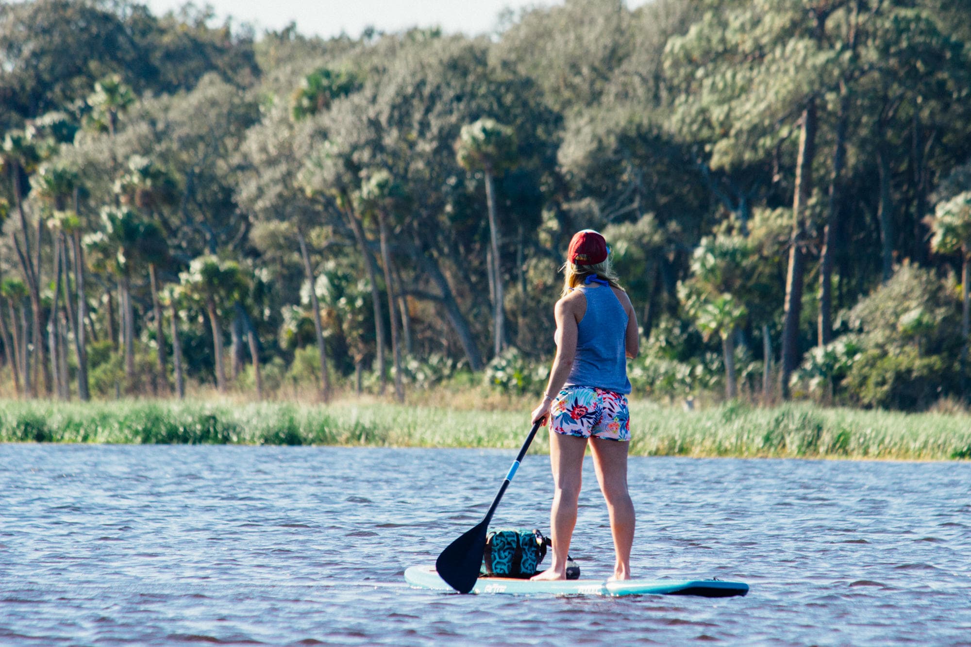 Paddle Board Rental (Guana Outpost South)