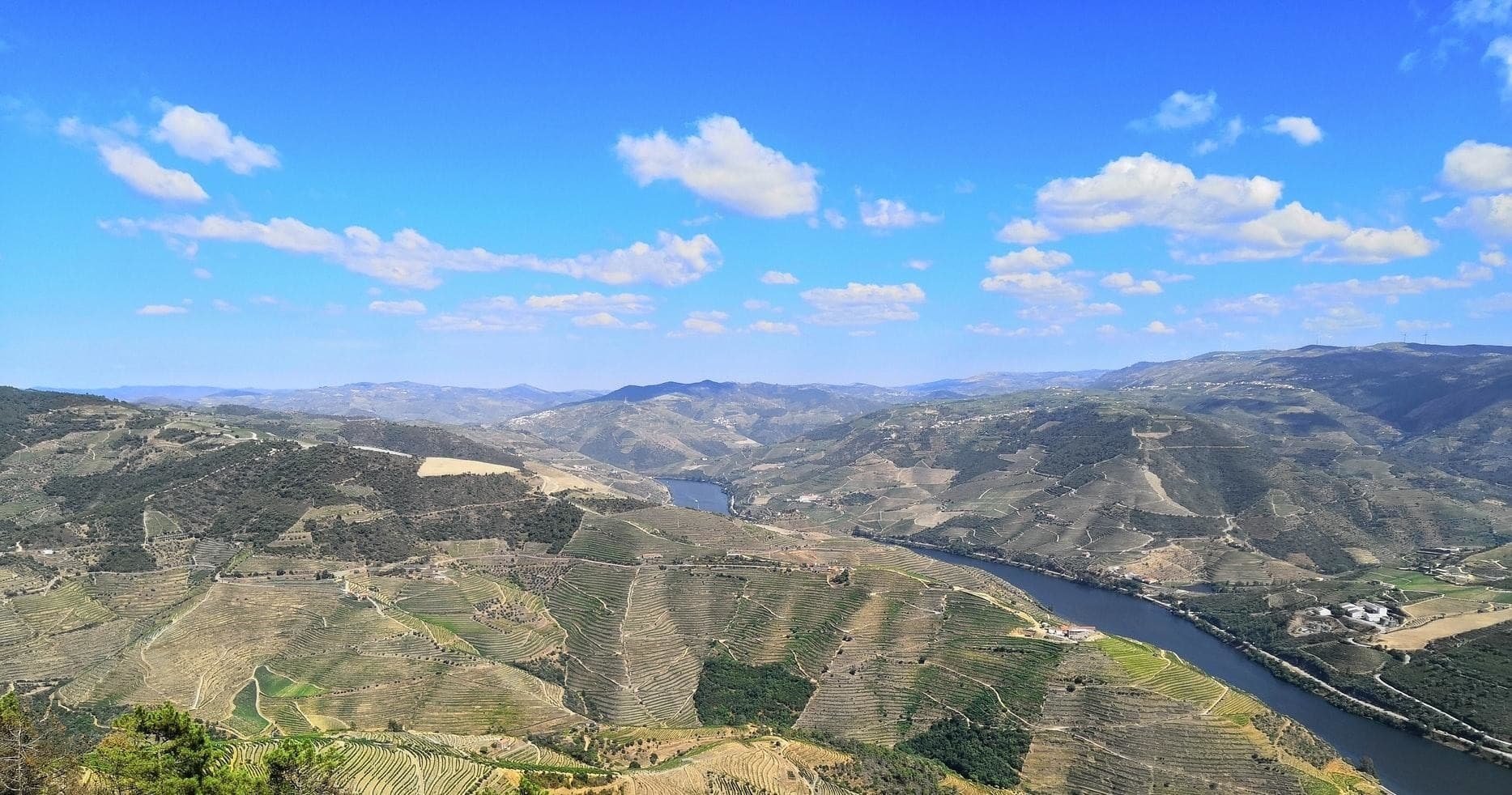 Régua/Porto/Régua (descida semana)