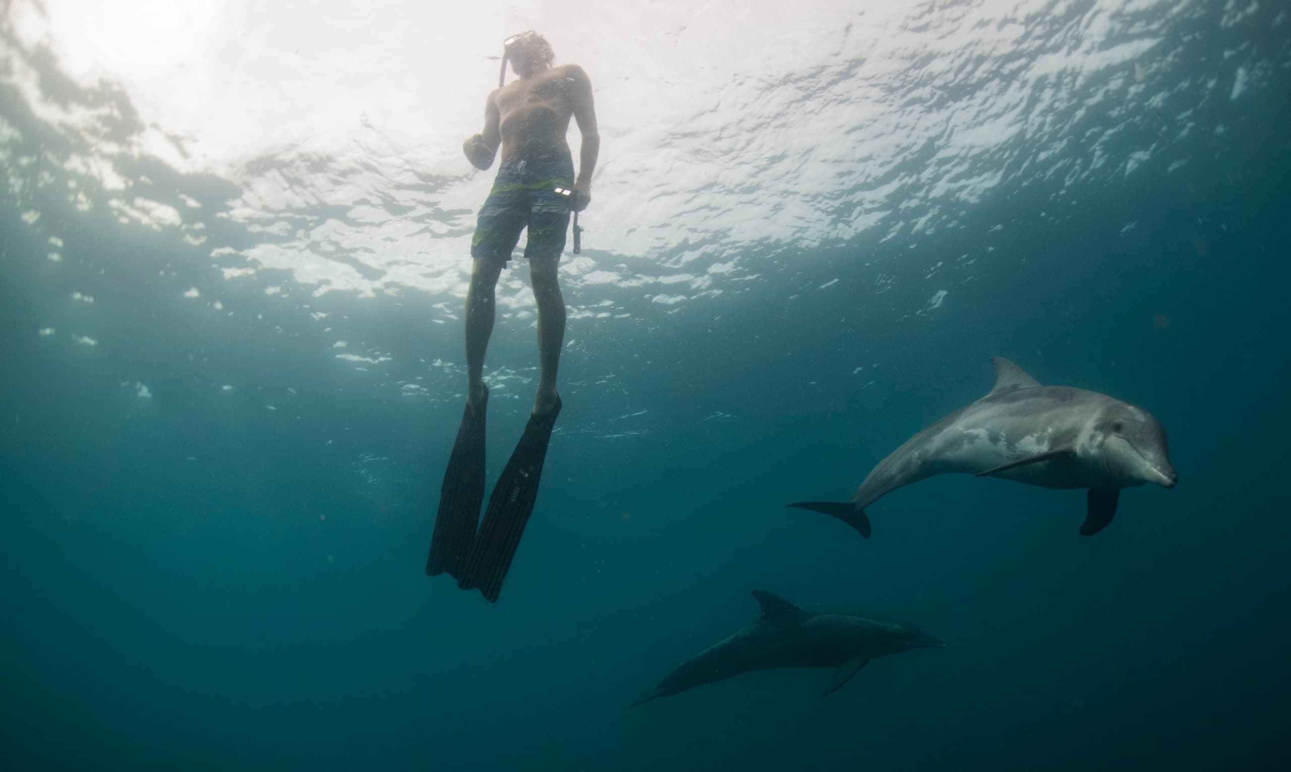 Freediving Course - Wave 1