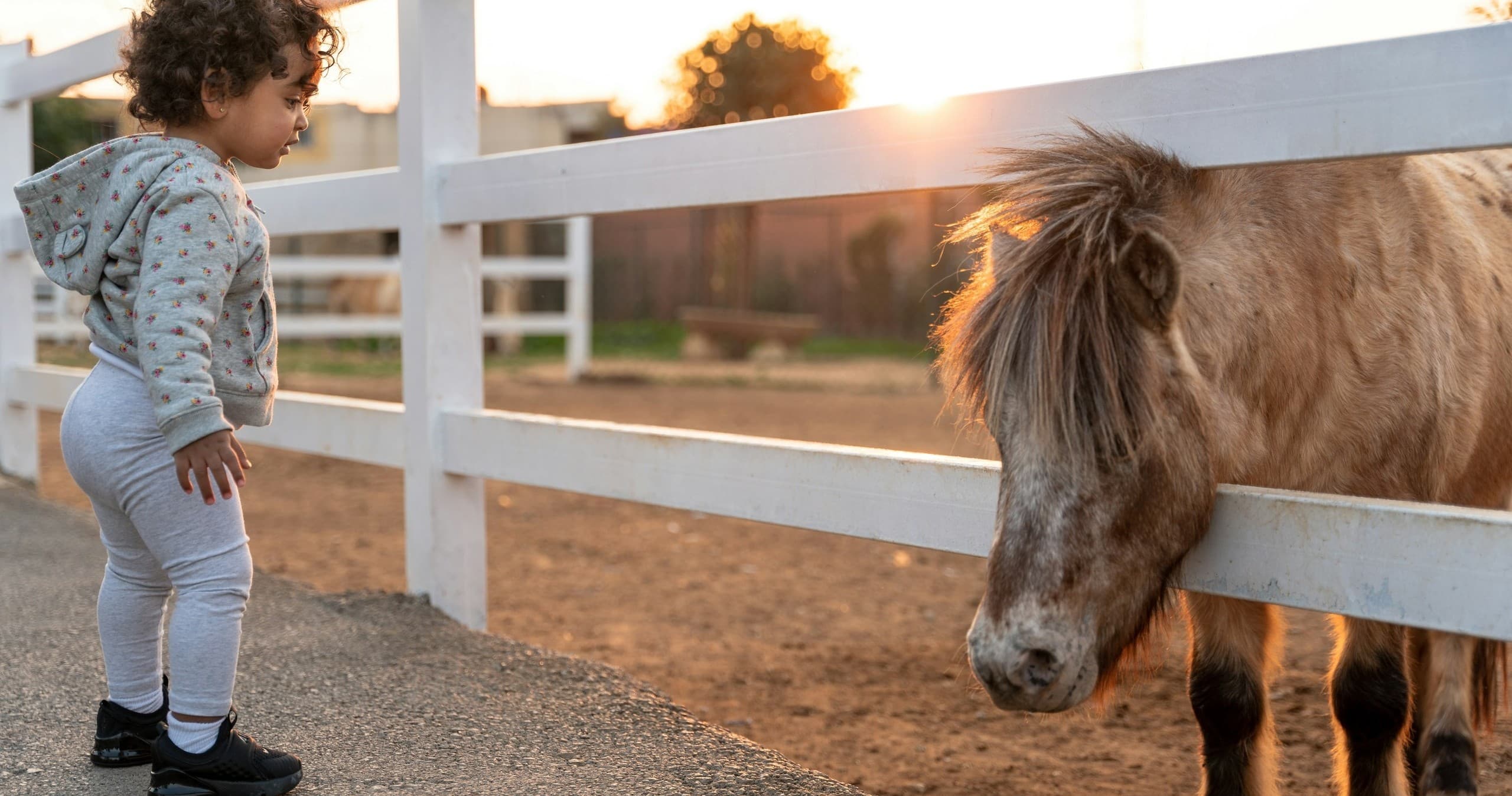Pony Class