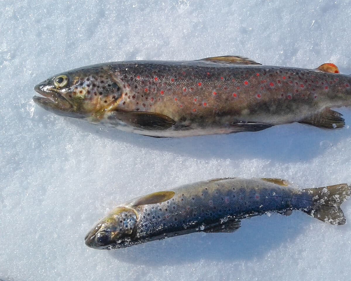 Ice Fishing