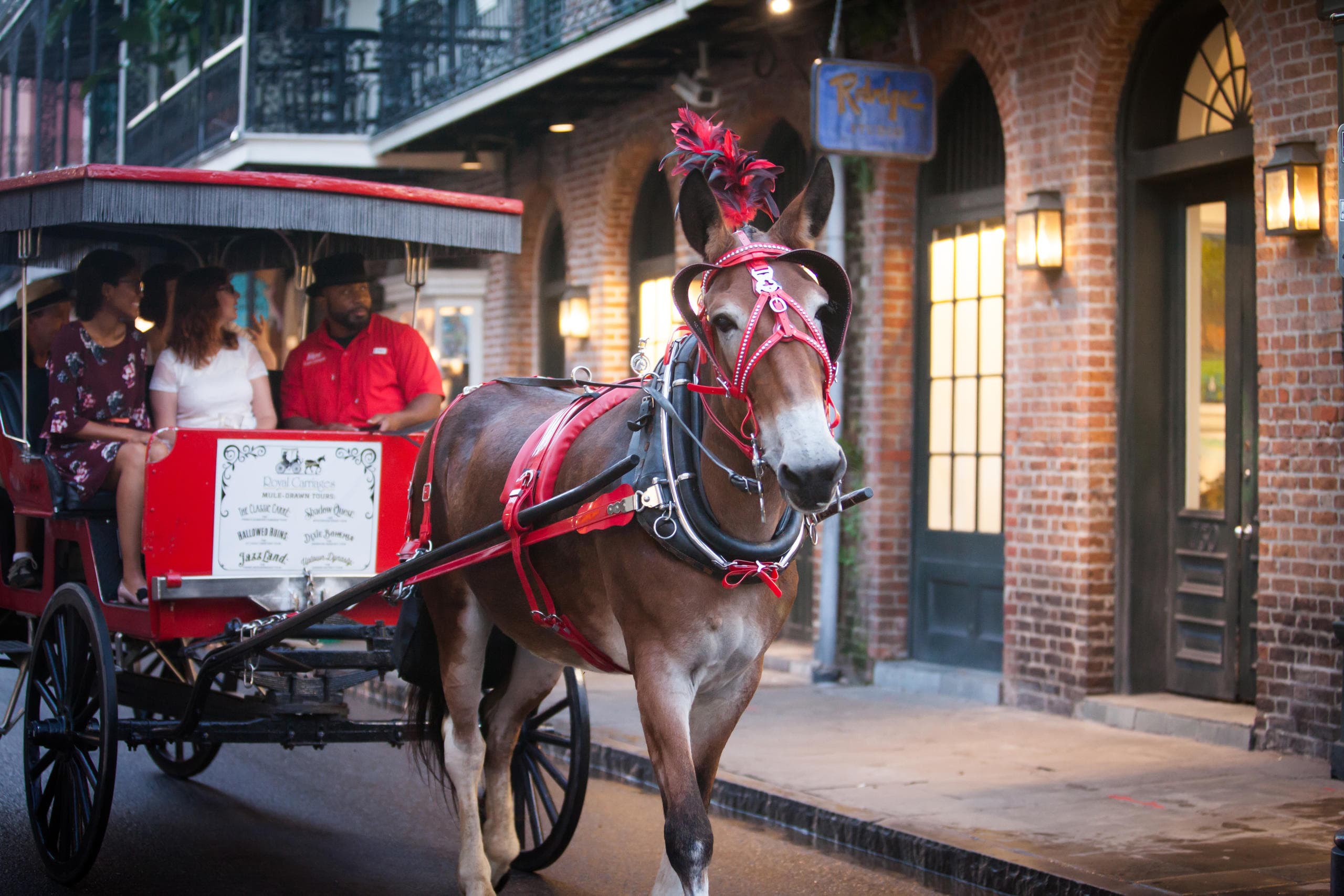 French Quarter and More Carriage Tours