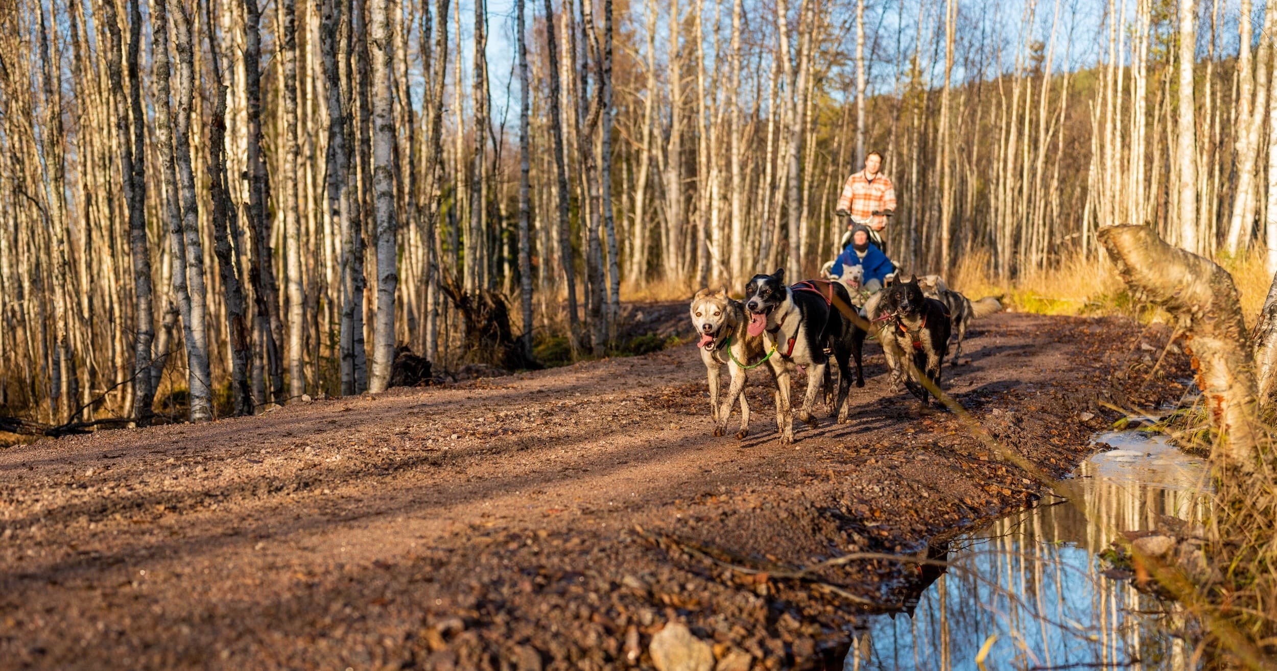 The Husky Experience On Wheels (Skyland)