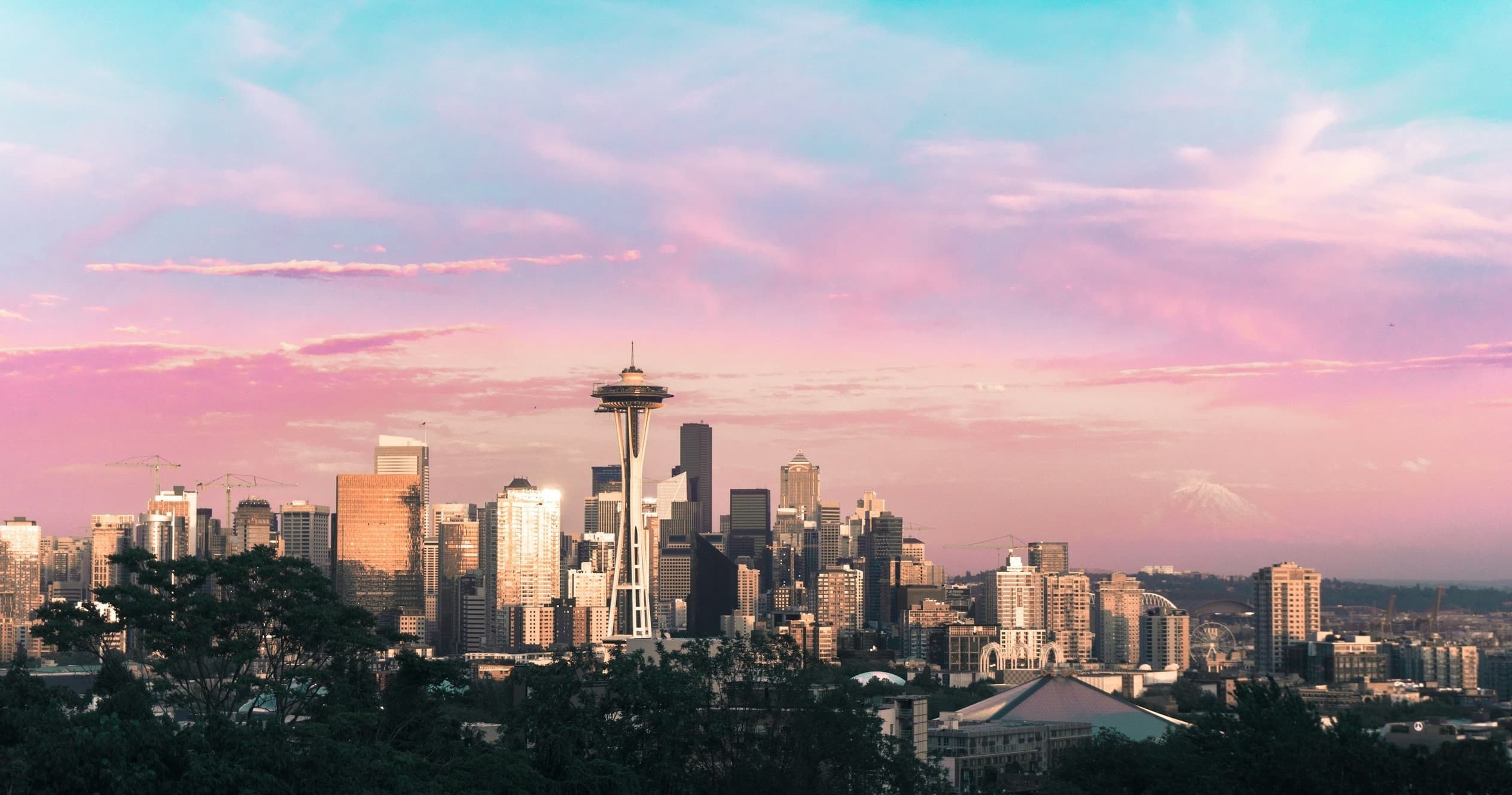 Immersive Post-Cruise Seattle Tour