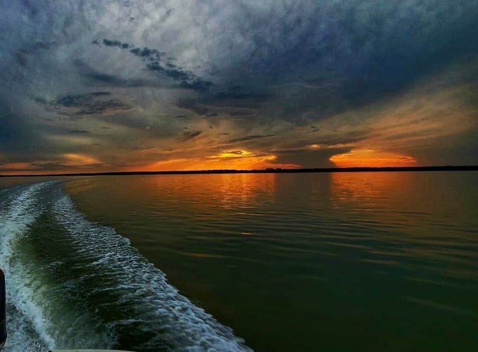 Dolphin Sunset Tour