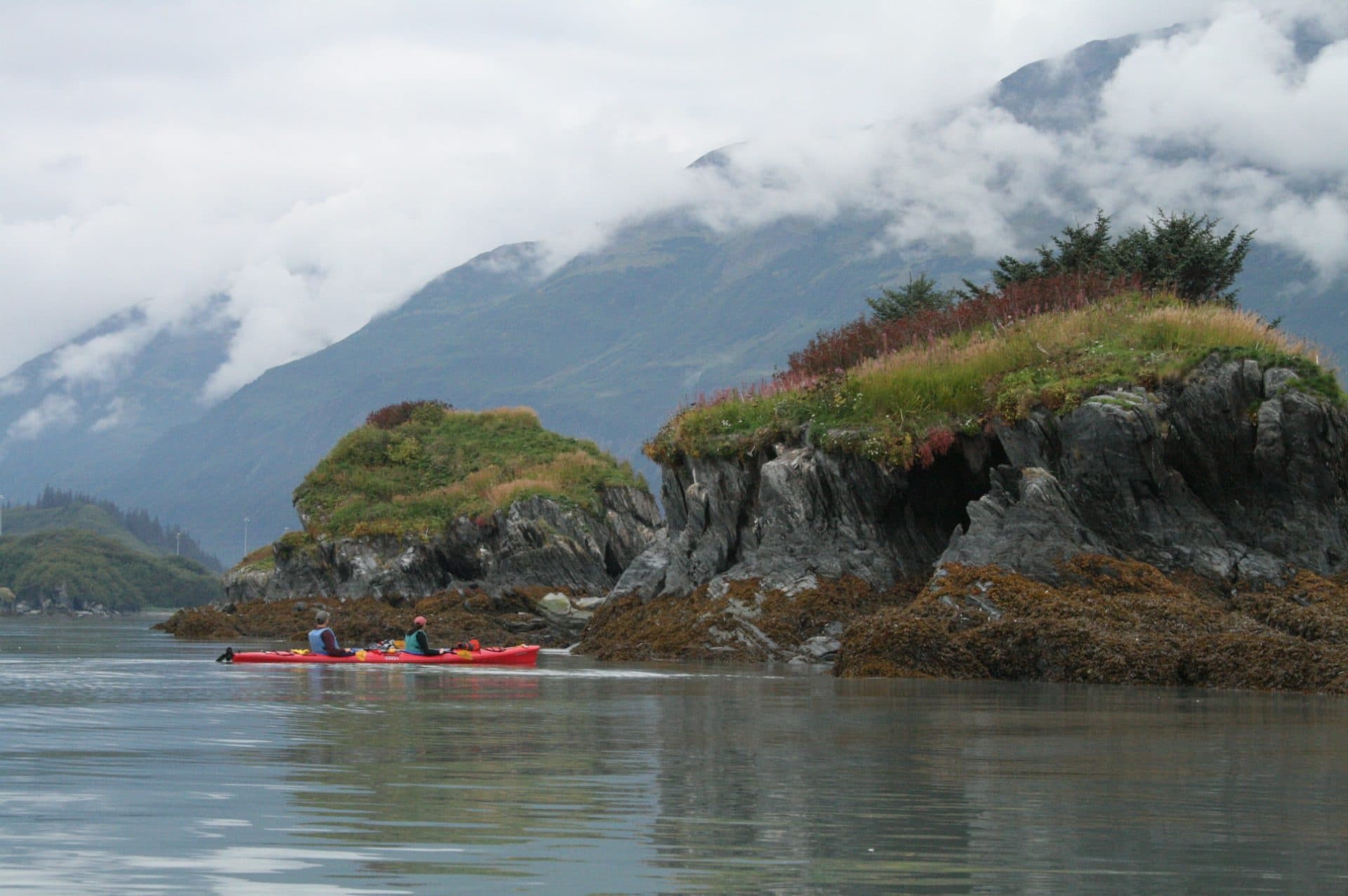 Sea Kayak Duck Flats