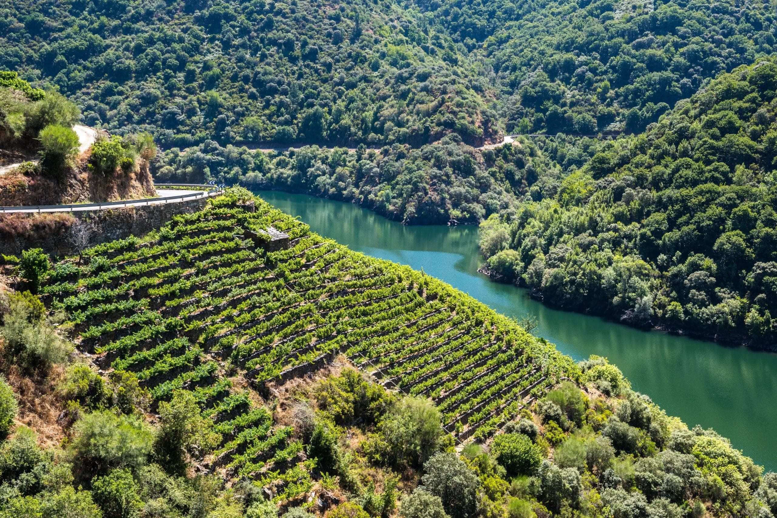 Tour Ribeira Sacra desde A Coruña