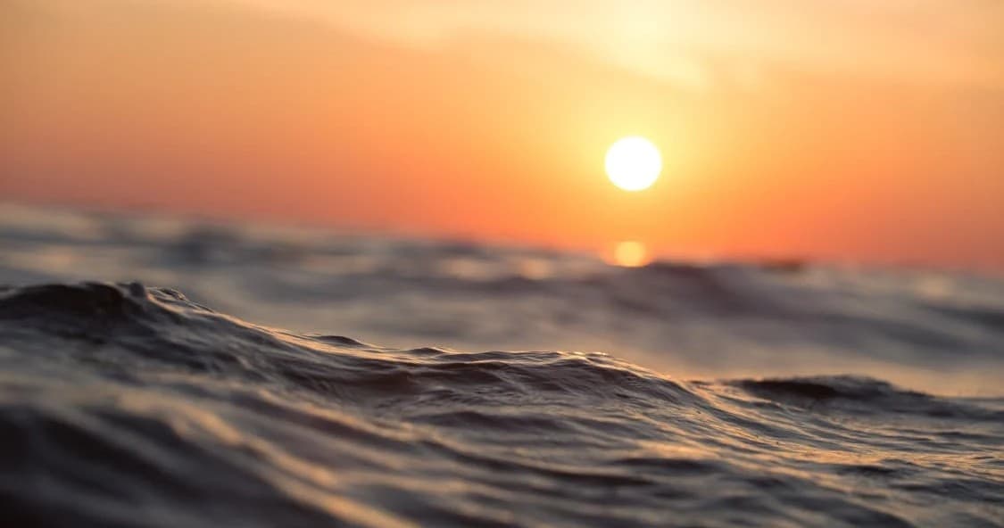 2 Hour Sunset and Dolphin Cruise