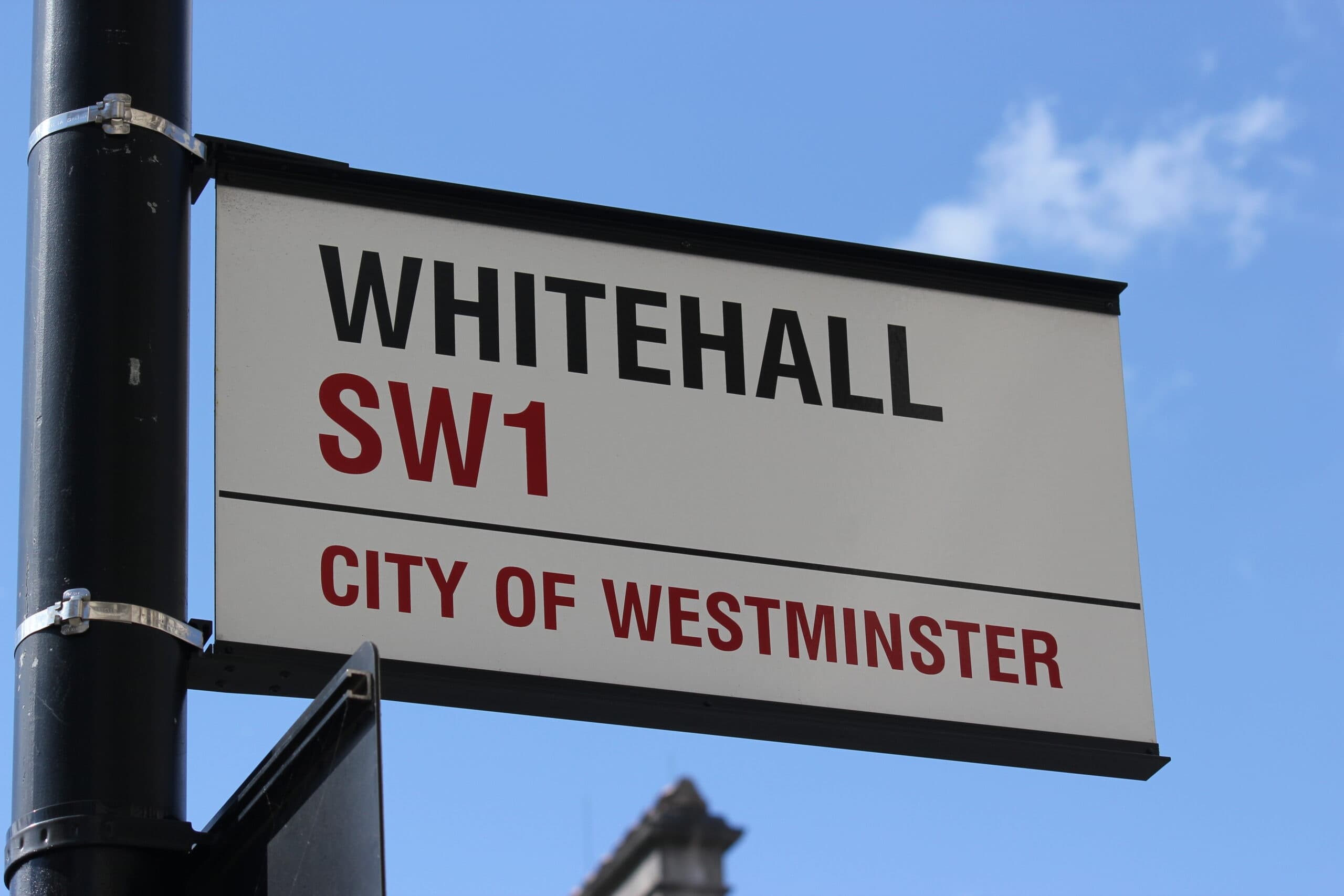 Private sightseeing walking tour of central London, Whitehall, and Westminister
