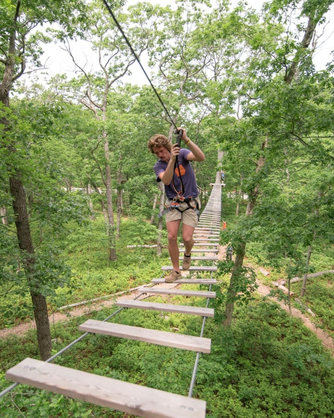 Treetop Adventure Courses & Zipline Course Combo