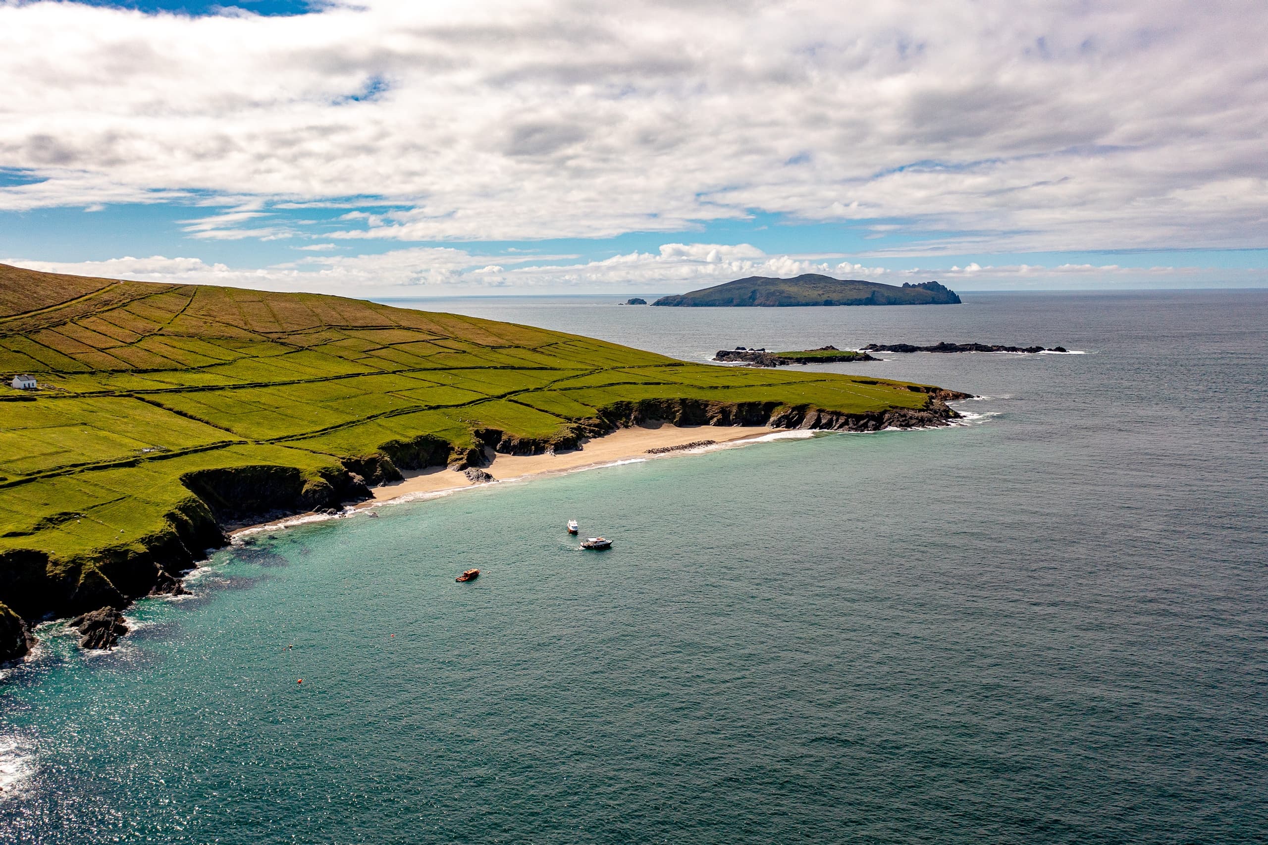 Dingle Dolphin Blasket Adventures