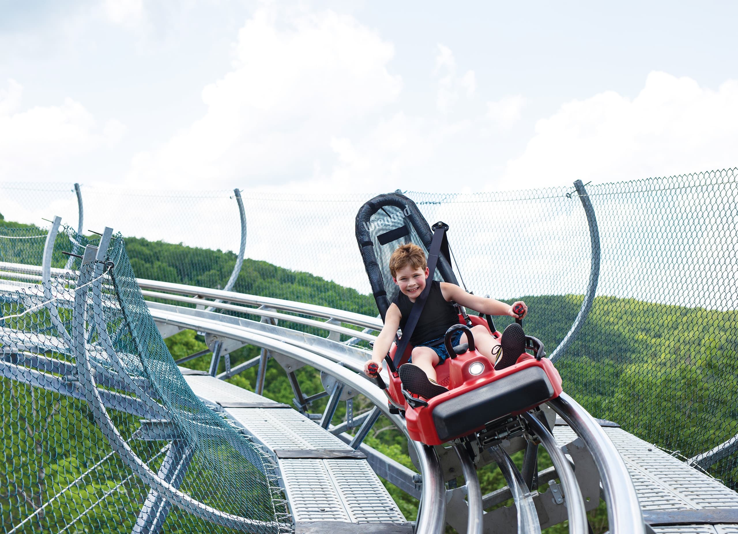 Copperhead Mountain Coaster