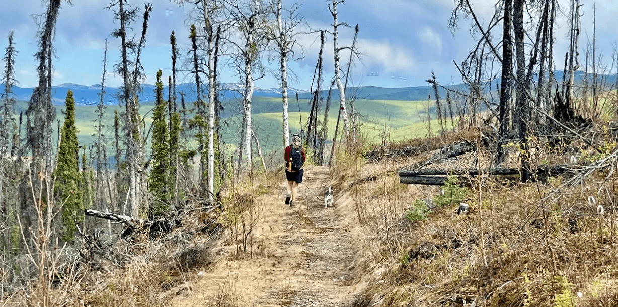 Mastodon Trail Hike