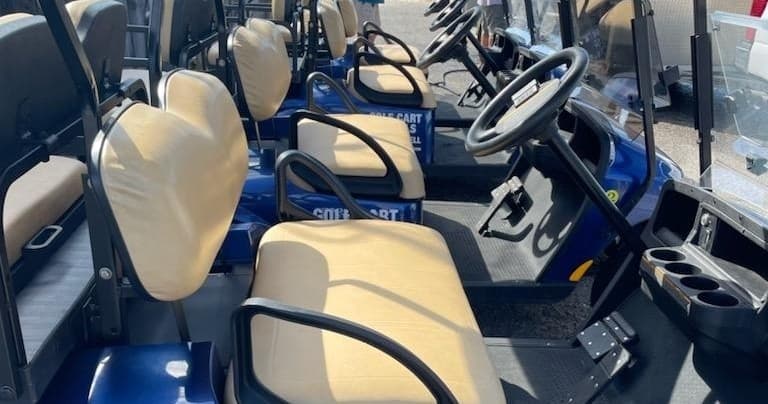 6-Day Golf Cart Rental