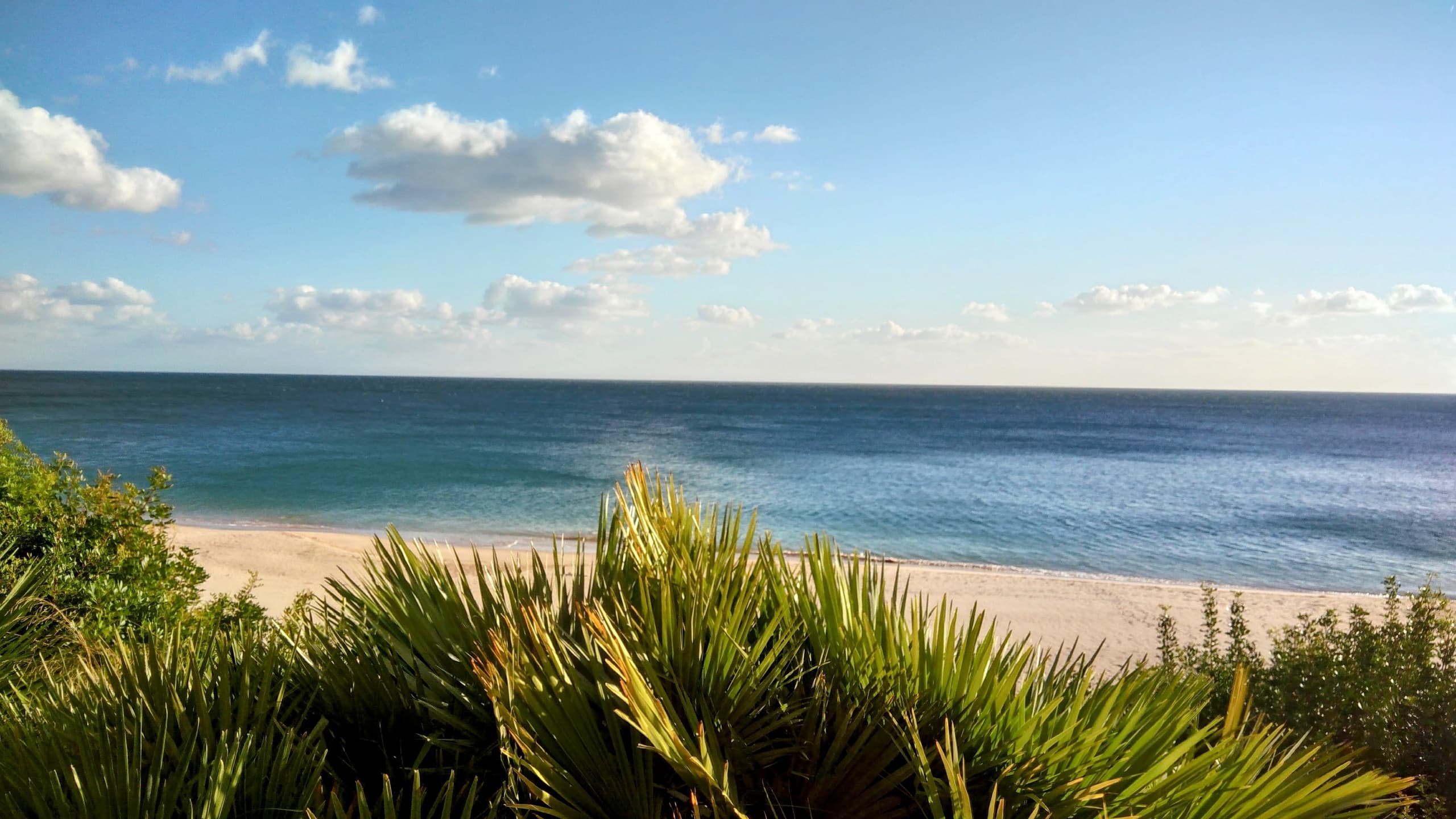 Sesimbra Village and Wine Tasting Session Private Luxury Tour