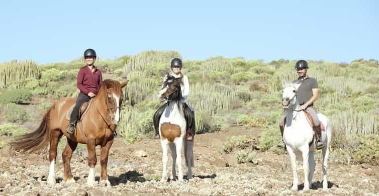 Paseo a caballo - 2 Horas