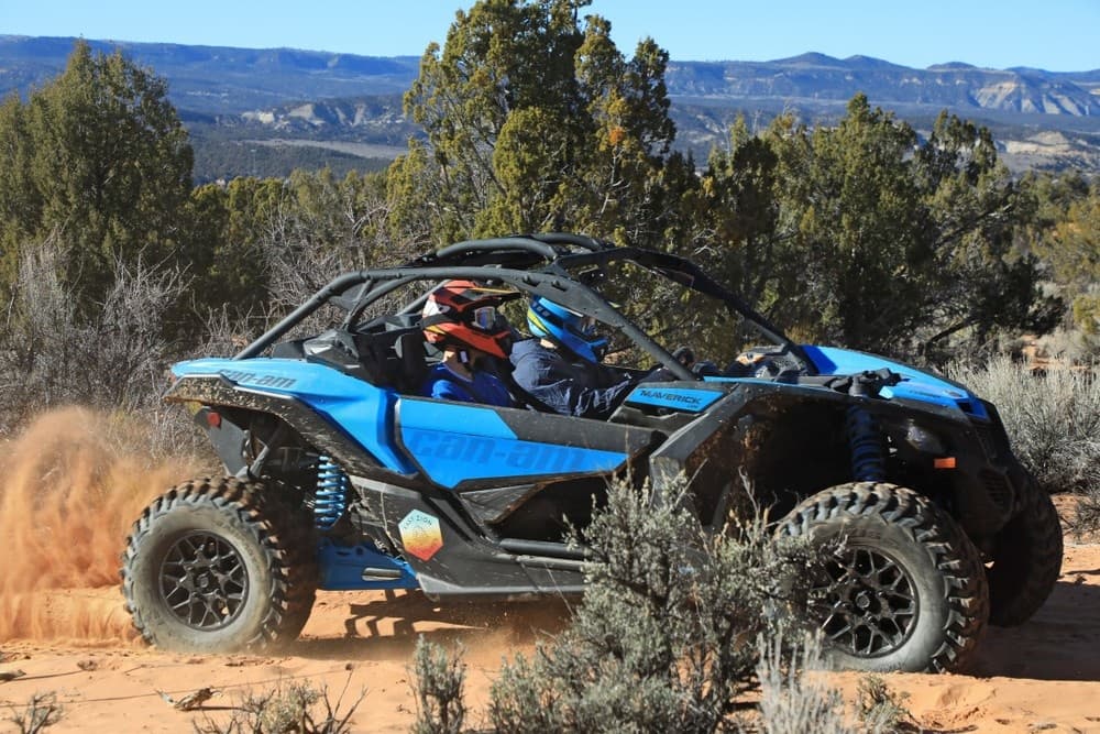 Zion Pines Guided UTV Tour