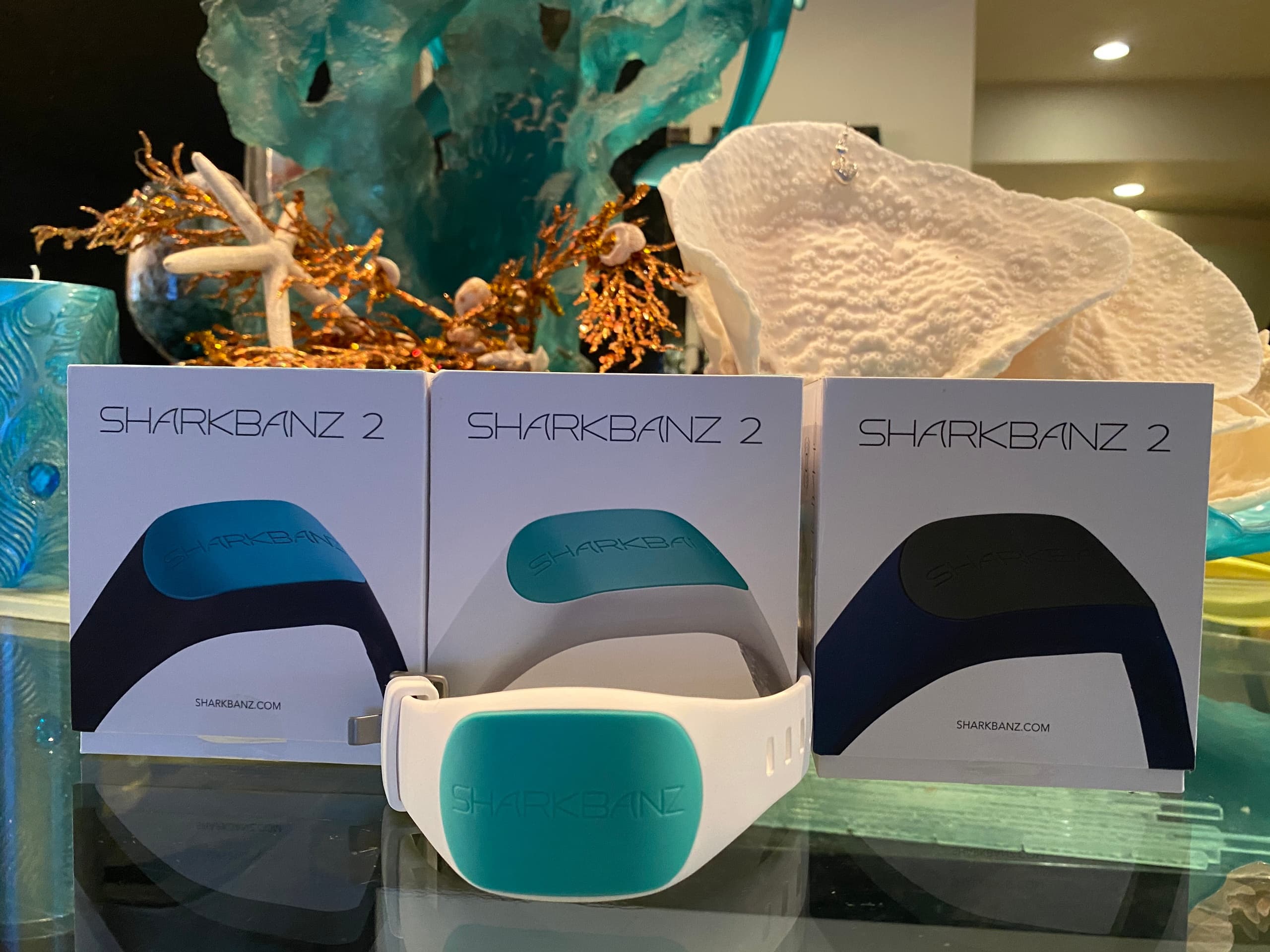 Shark Banz-2 Weekly Rental