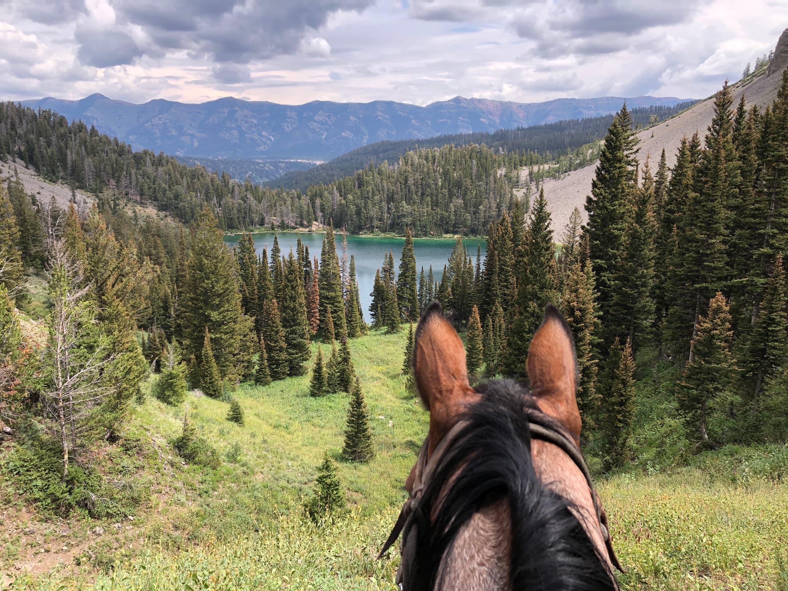 Half Day Ride