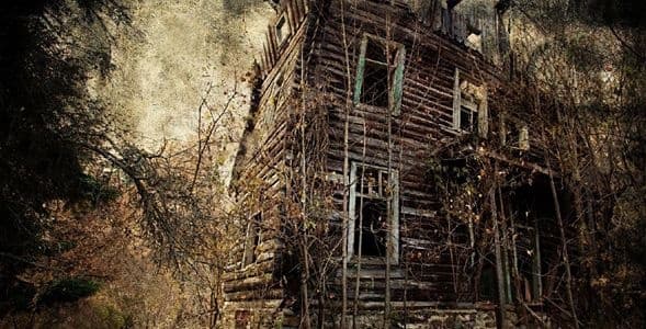 The House in the Woods