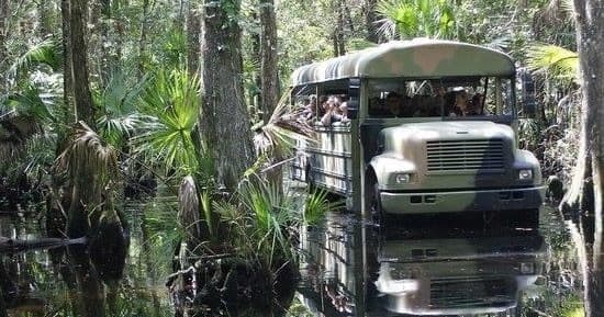 Swamp Buggy Eco Tour
