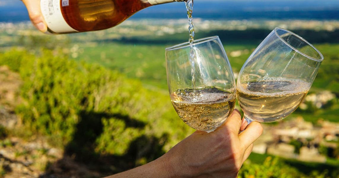 Penedès Day Trip: Countryside and Wine Tasting