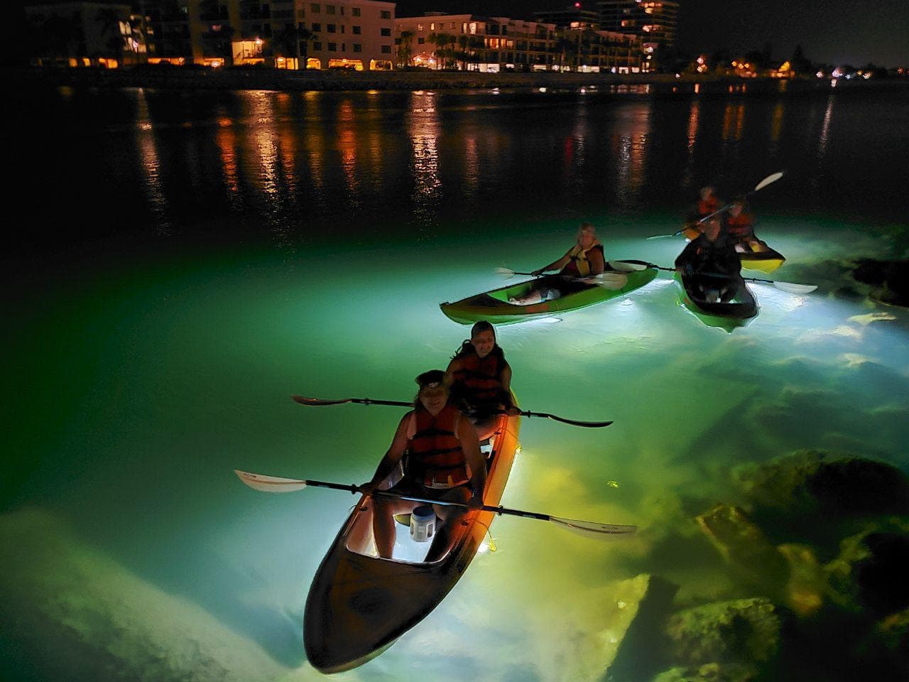 Sharkeys Glass Bottom Fish Feeding LED Night Tour St. Pete Beach