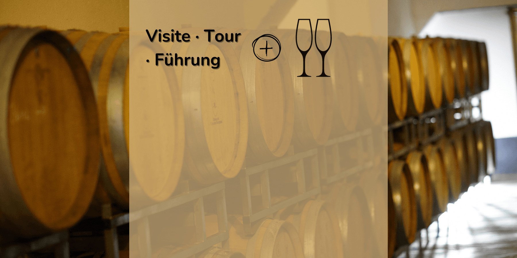 Visite + 2 coupes