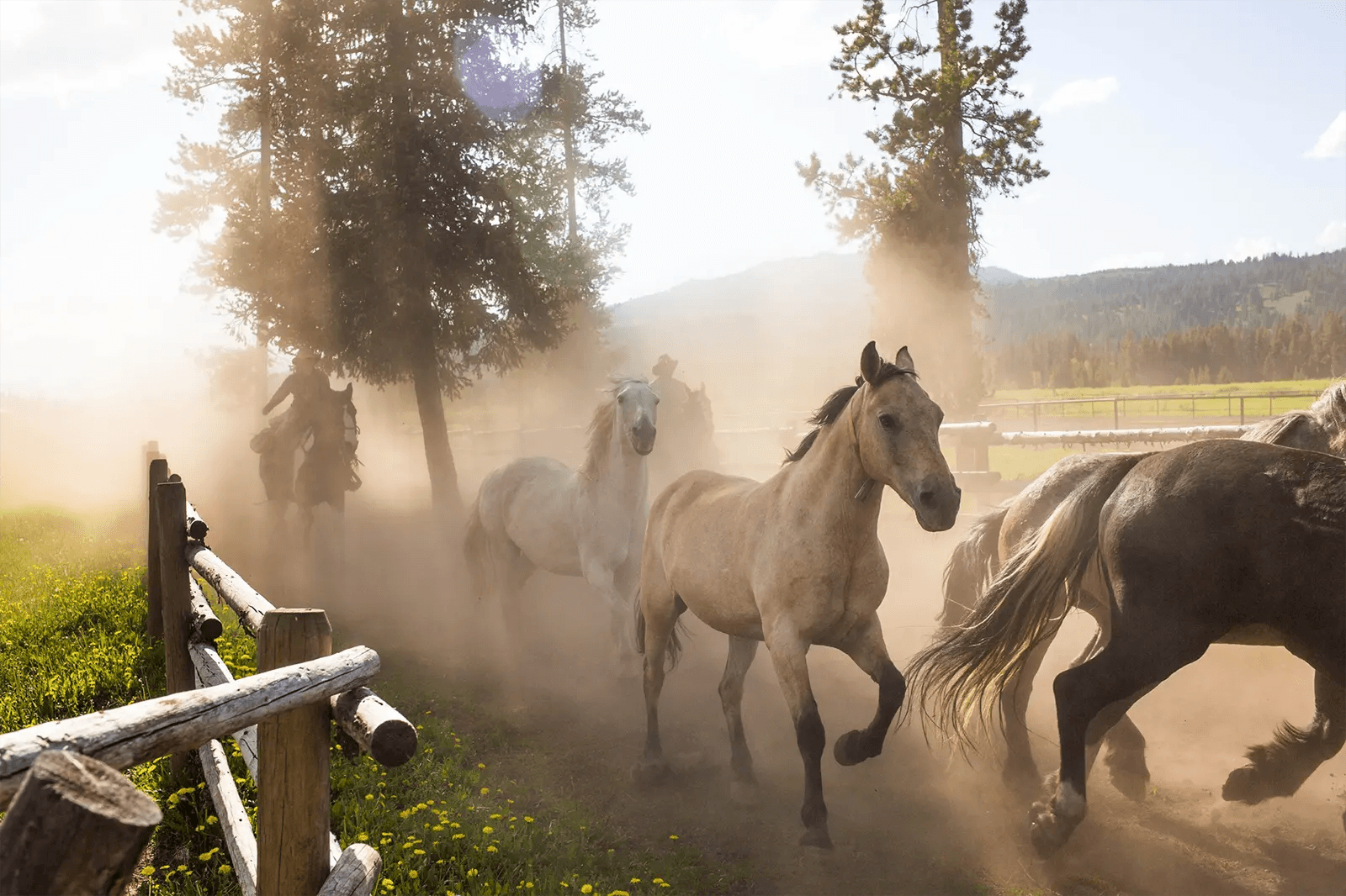 Dine & Dewrangle at  Turpin Meadow Ranch